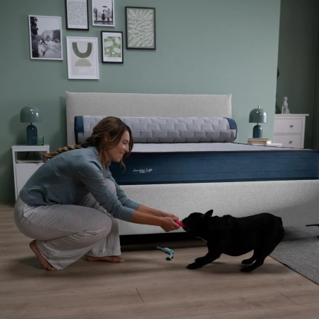 Materasso Dedica Dorelan - Notte Convenienza Vendita Materassi Roma Dorelan memory