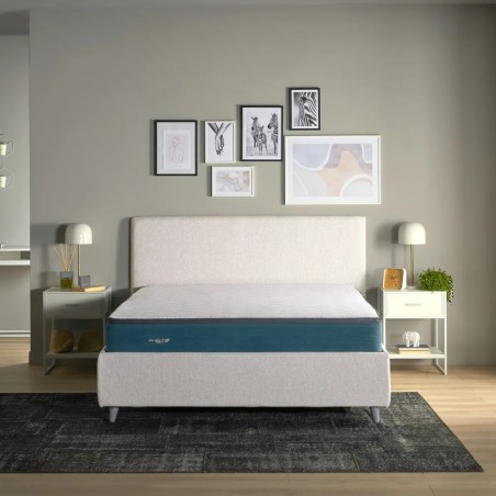 Materasso Venus Dorelan - Notte Convenienza Vendita Materassi Roma Dorelan memory